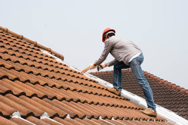 Best Roof Leak Repair  in Jacksonville, TX